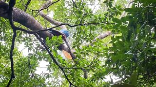 বাঘের রাজ্যে মধুর খোঁজে | সুন্দরবনের গহীনে মধু সংগ্রহ