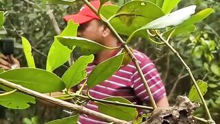 জীবনের ঝুঁকি নিয়ে মধু সংগ্রহ