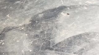 [clips 18+ videos] Video Filtrado De Arthurlima Y Alencarzao