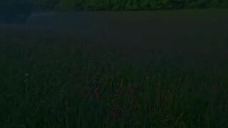 Silence 5