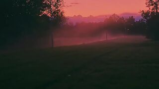 Peaceful evenings