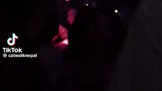 Friends Dance Party 8
