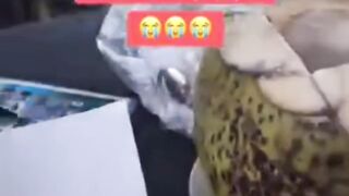 gimana menurut kalian?
