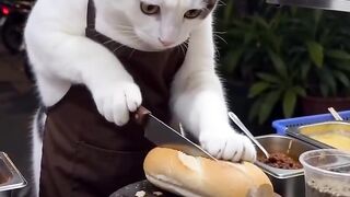 Cat at food stall