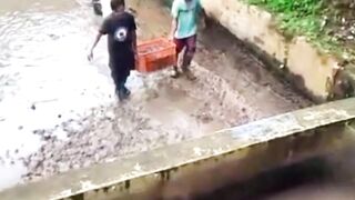 Panen ikan lele itu 3 kali