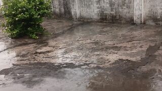 Barish 18