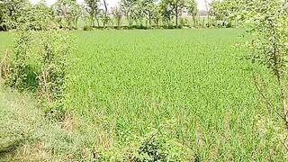 My village view 3