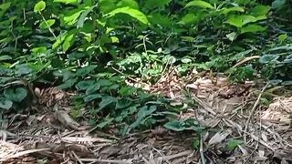 [clips 18+ videos] Filtrado De Arthurlima Y Alencarzao X.X.X