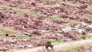 BAYANGKAN YANG IA CARI ITU KELUARGANYA