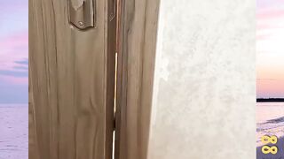 Panduan Memilih Anjing  versi bola88