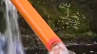 Video 667