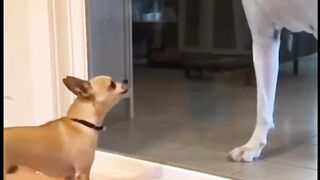 When the Glass Door Opens and Reality Hits"