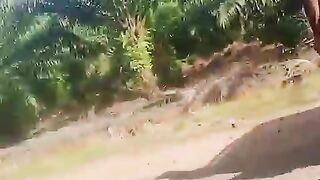 Car offrod