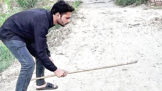 Don't Copy of dog. Very funny ????????????