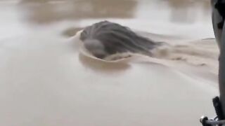 the appearance of water ghosts