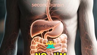 What If I Told You There's a Second Brain Inside You?