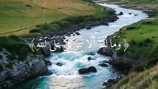 Tilawat e Quran Majeed 84