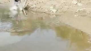 funy vedio 3