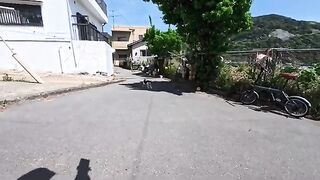 I encountered a cow-like cat in an alleyway in a fishing port town. When it saw my face, it came over to be petted.