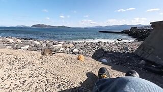 When I sat down on the steps by the sea, cats gathered around... but they all started to relax at a subtle distance from each other.