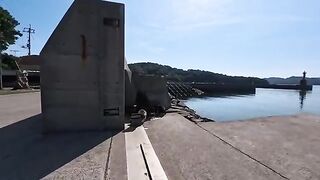 The harbor cat was secretly having its lunch behind the breakwater.