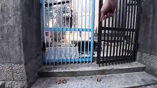 As I was walking down an alley in the fishing port, a black cat came