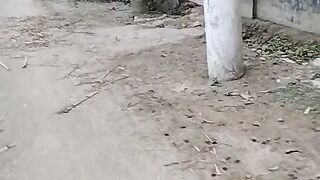 সকালবেলা