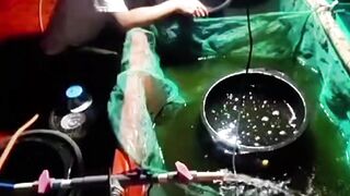 Manfaat jaring sekat dalam budidaya lele