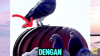 Penjelasan Turbin Ventilator!  versi bola88