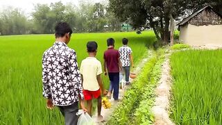 গ্রাম অঞ্চলের প্রাকৃতিক দৃশ্য