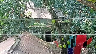 গাছ লাগান