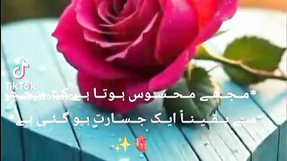 محبت کے نام