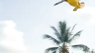 Mau Cari