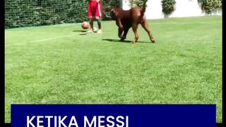 ???????? Hulk bergabung dengan keluarga