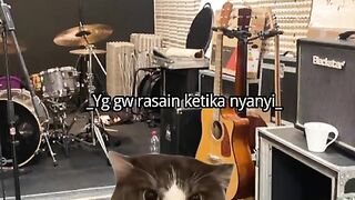 serasa musisi