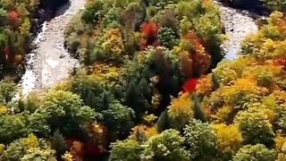 serial view in autumn
