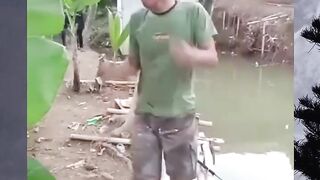 funny videos 461