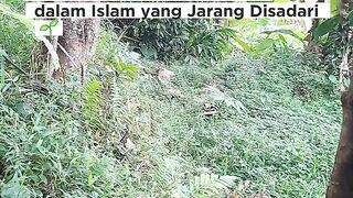 SEKALI MENANAM, PAHALANYA TERUS MENGALIR! Inilah Keutamaan Menanam dalam Islam yang Jarang Disadari