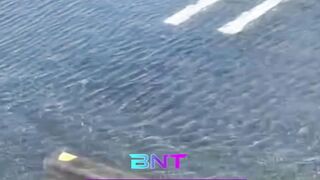 Bikin Insecure! Badai Jangmi Terjang Jepang, Netizen Malah Salfok Sama Air Banjirnya yang Sebening Kolam Renang