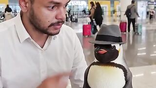 funny video short USA  #usa #viralvideo #viral #trending #tranding #funny #viralreels