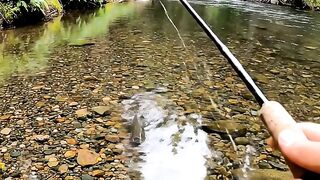 fishing 18