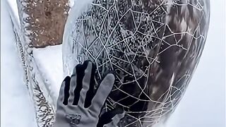 The eagle wanted to live!