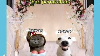 ga sanggup ngebayangin????