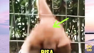 Alasan Kucing Dapat lewati Lubang Sempit! versi bola88