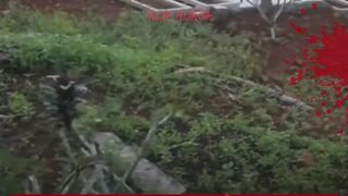 penampakan kuntilanak di kuburan