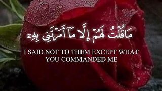 Quran paak Tilawat must watch 2