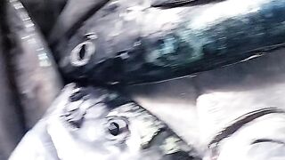 Fresh from the sea