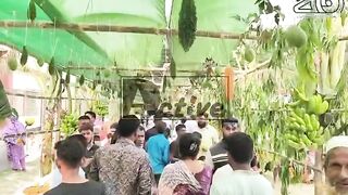 পাবনায় বানিজ্যমন্ত্রীর লিচু  উৎসব উদ্বোধন