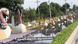 Beautiful Place 37