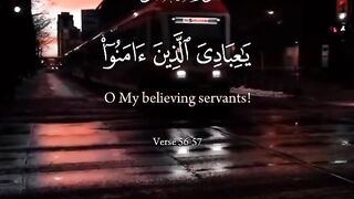 Tilawat e Quran Majeed 87